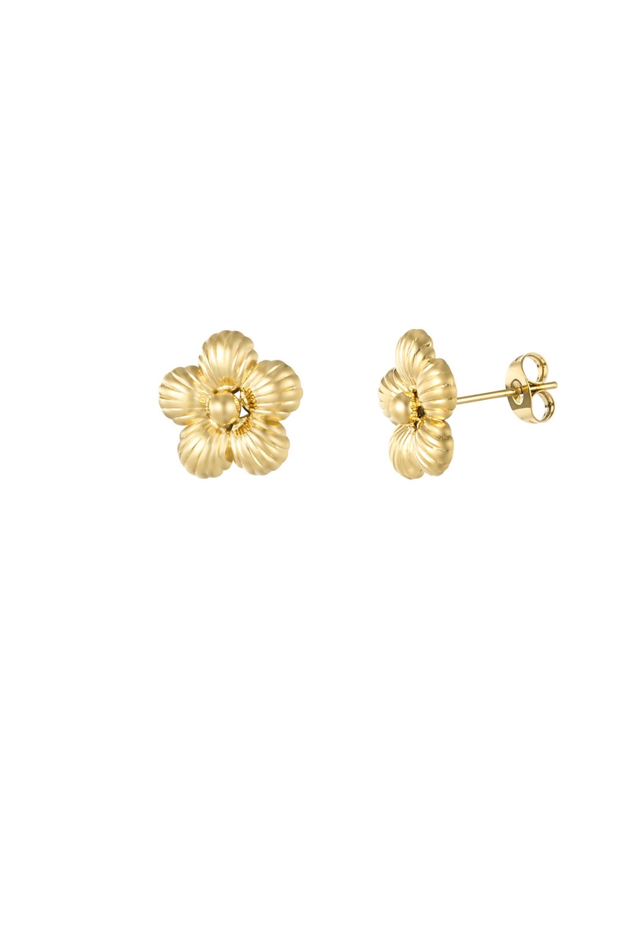 Daisy oorknopjes Goudkleur 