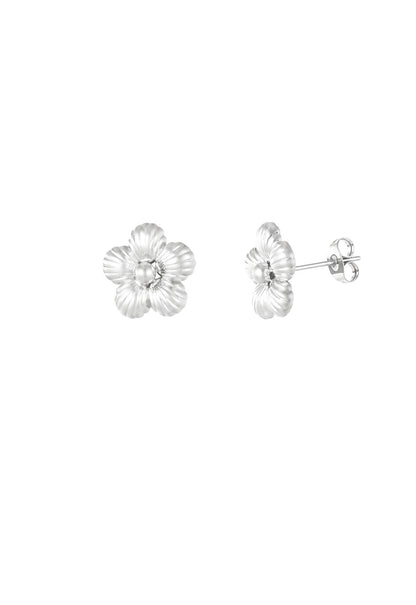 Daisy oorknopjes Zilverkleur 