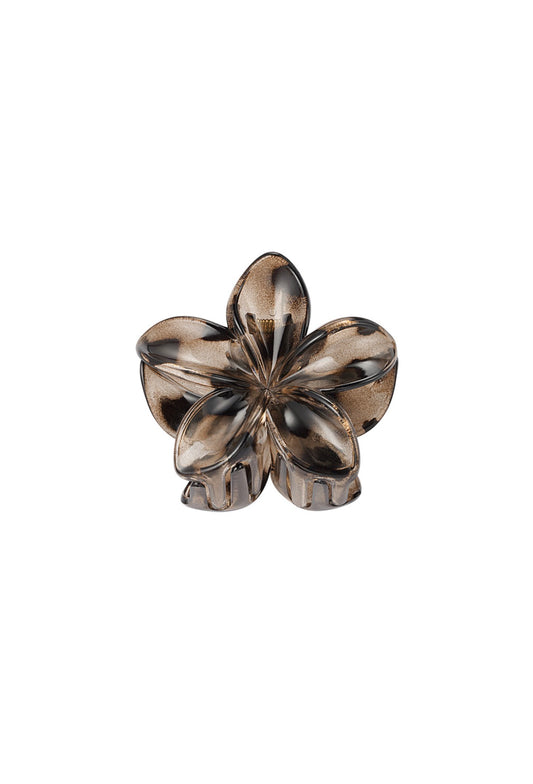 Haarklem bloem met print Bruin 