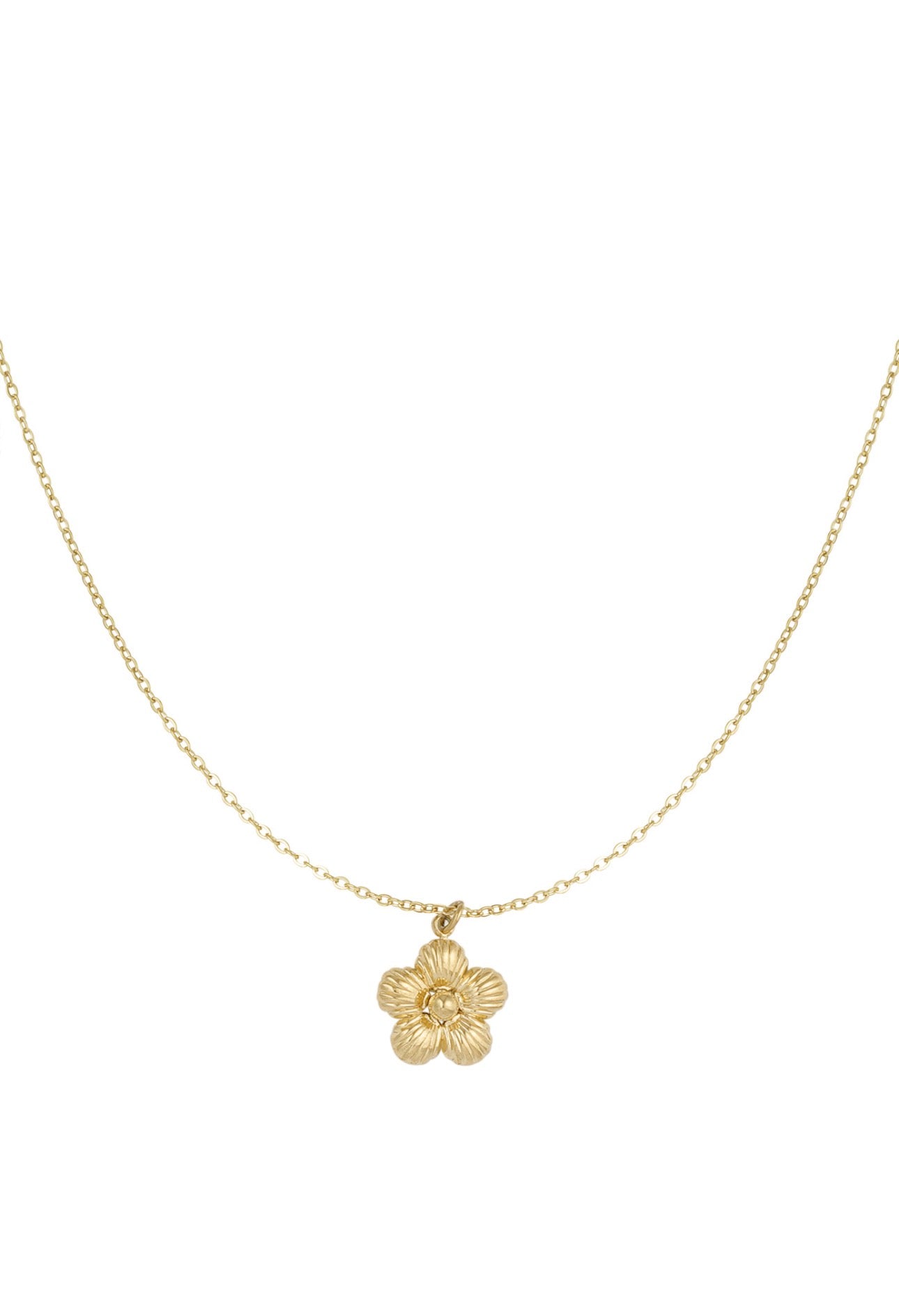 Ketting daisy Met bloem goudkleur 