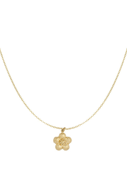 Ketting daisy Met bloem goudkleur 