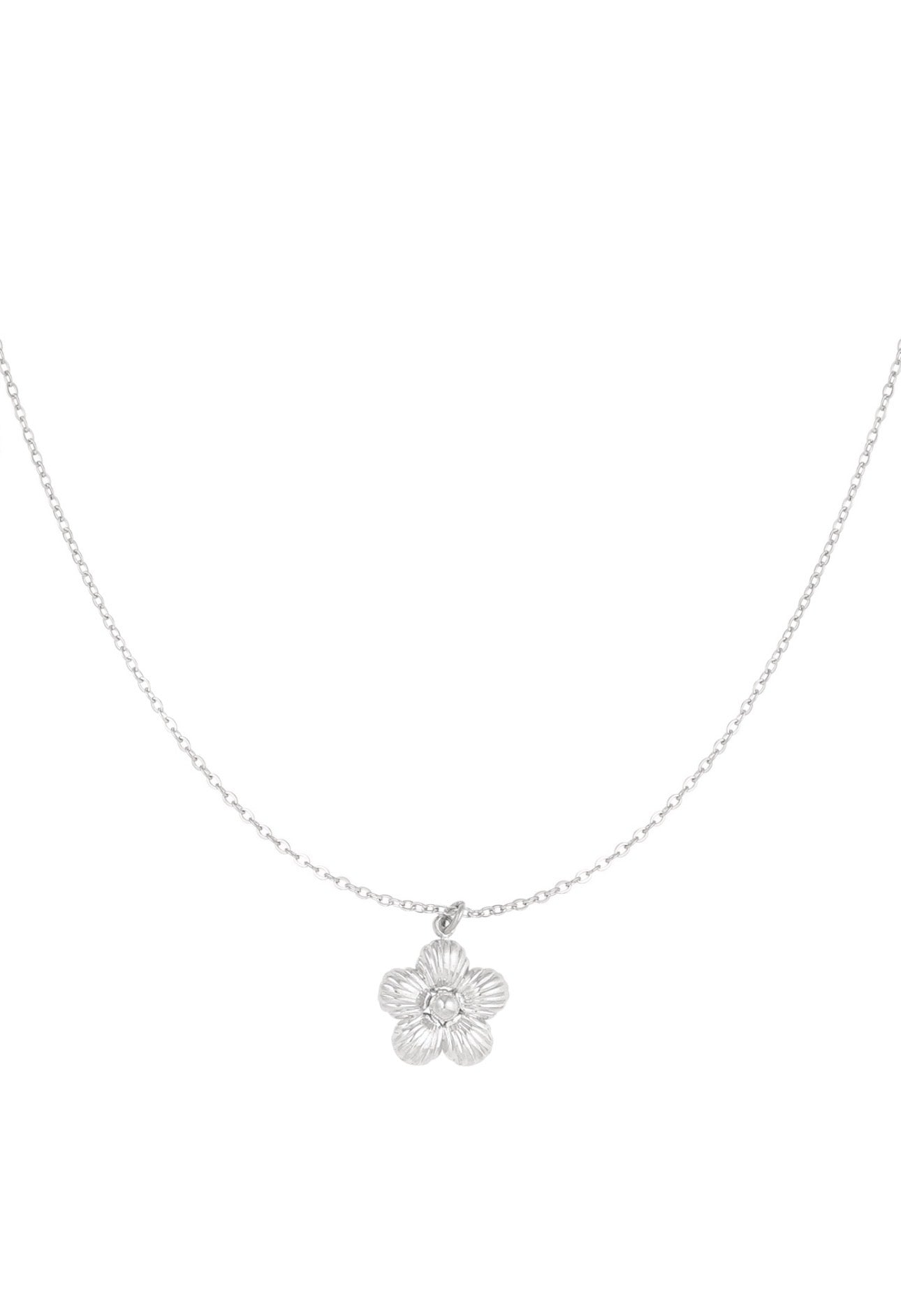 Ketting daisy Met bloem zilverkleur 
