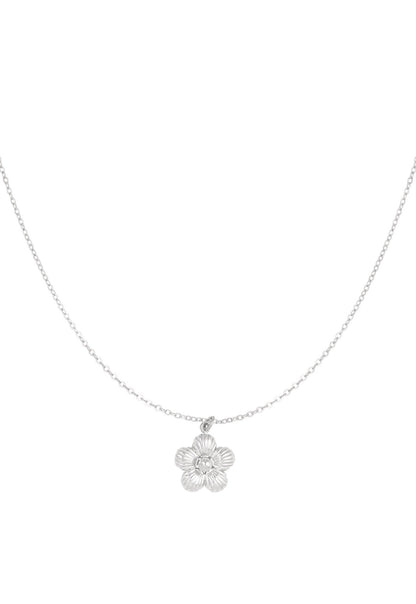 Ketting daisy Met bloem zilverkleur 