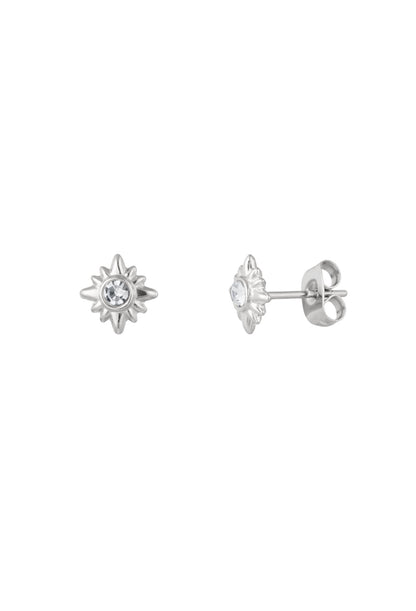 Oorknopjes met strass steentjes Zilverkleur 