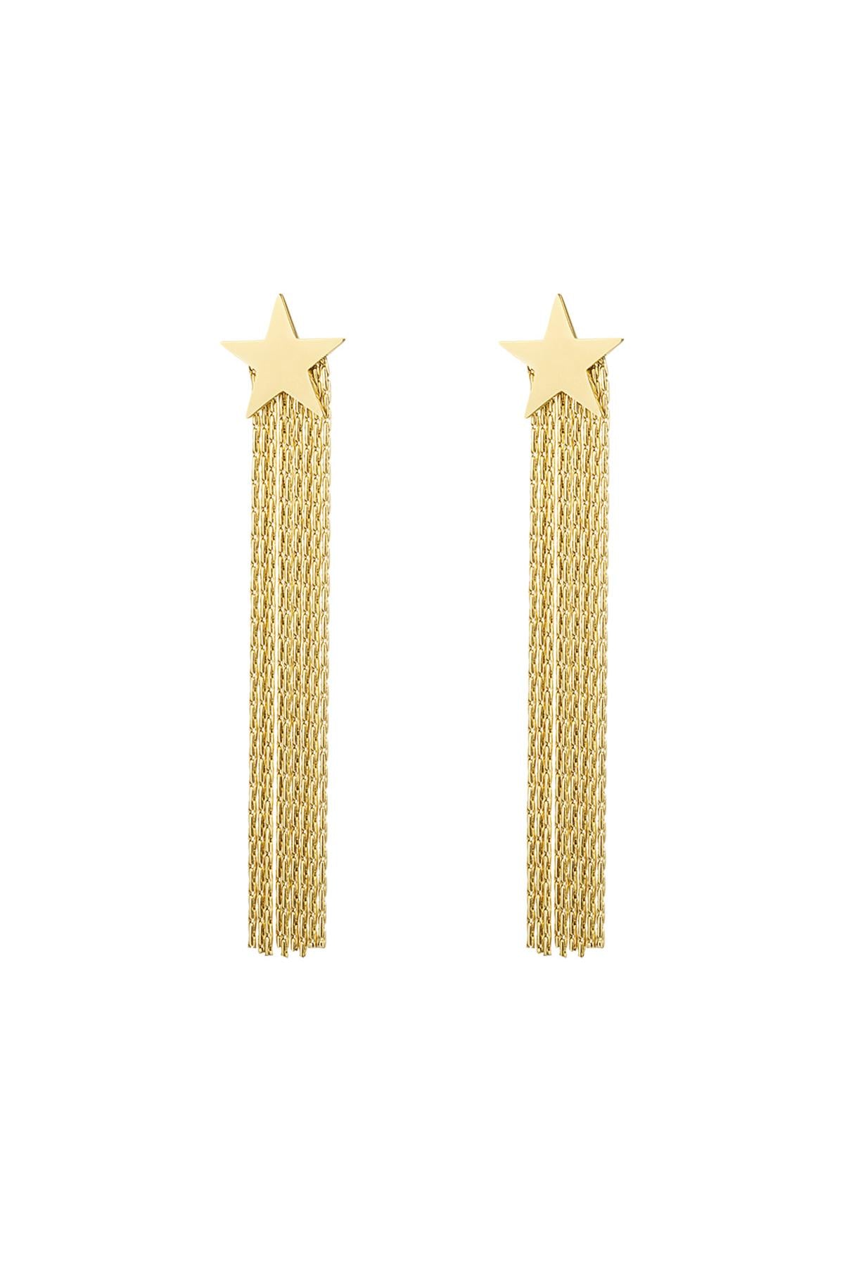 Statement oorbellen ster