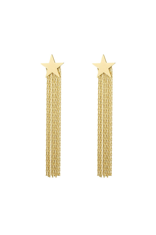 Statement oorbellen ster